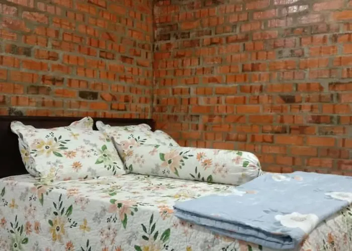 D Garden Home Stay